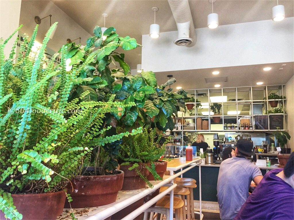 The Gray Olive Cafeteria Brunch Interior