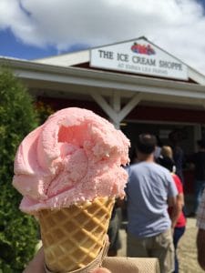 Emma Lea Farms strawberry u-pick delicious ice cream 02