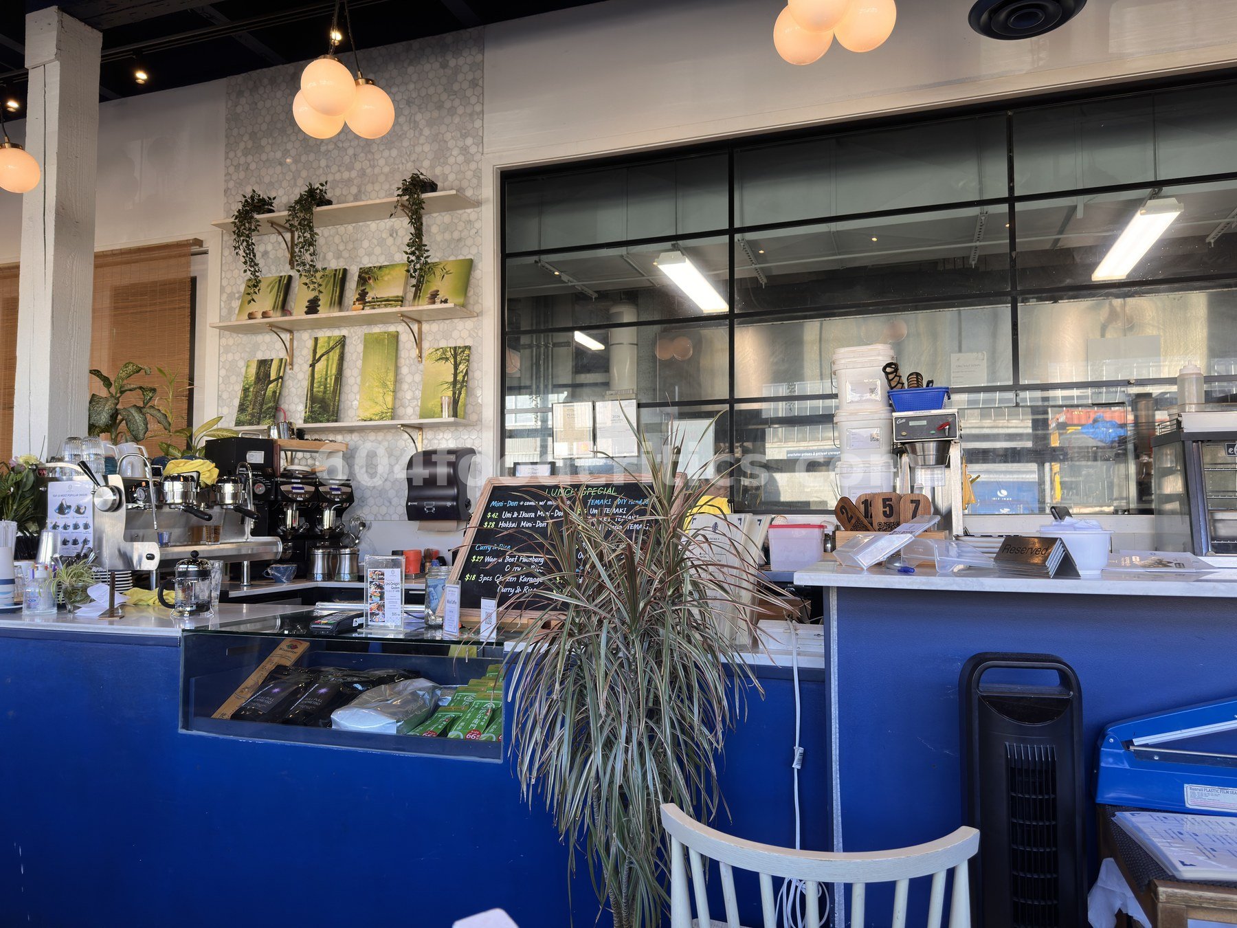 Takenaka's navy blue order counter with espresso machine, chalkboard lunch specials and forest-print canvases